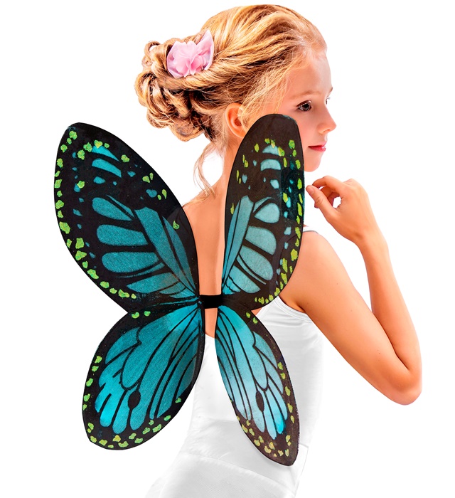 Aripi Fluture Albastre