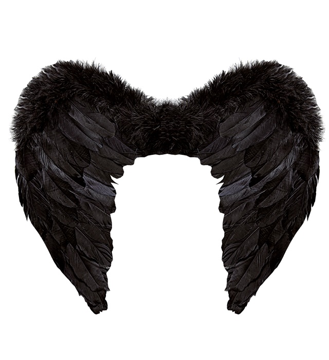 Aripi Pene Negre
