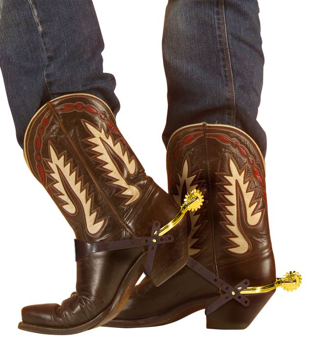 Pinteni Aurii Cowboy