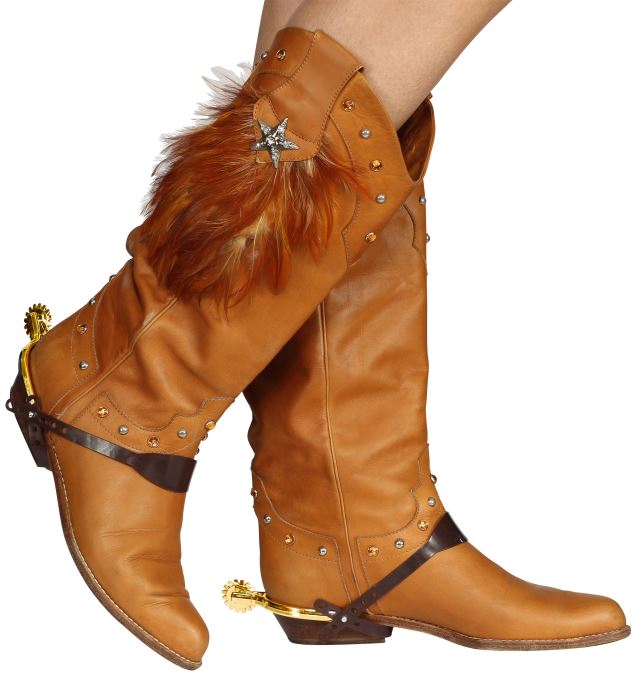 Pinteni Aurii Cowboy