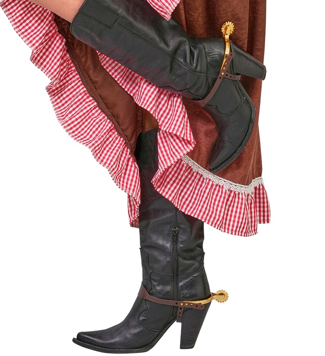 Pinteni Aurii Cowboy