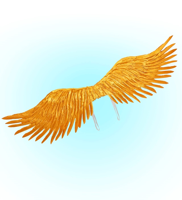 Aripi Inger Aurii 100 cm