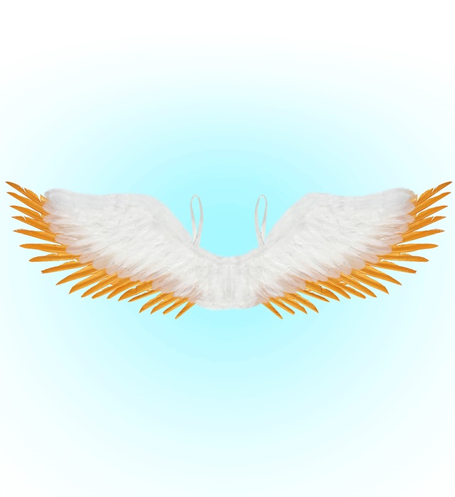 Aripi Inger Alb-Aurii 100 Cm
