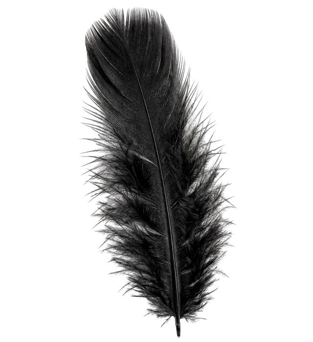 Set Pene 50 Negre 10 Cm