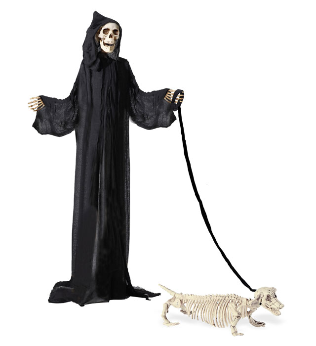 Caine Schelet Dachshund