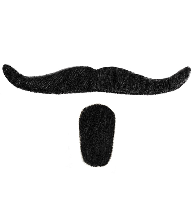 Mustata Muschetar