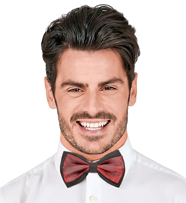 Papion Vintage Burgundy Jacquard