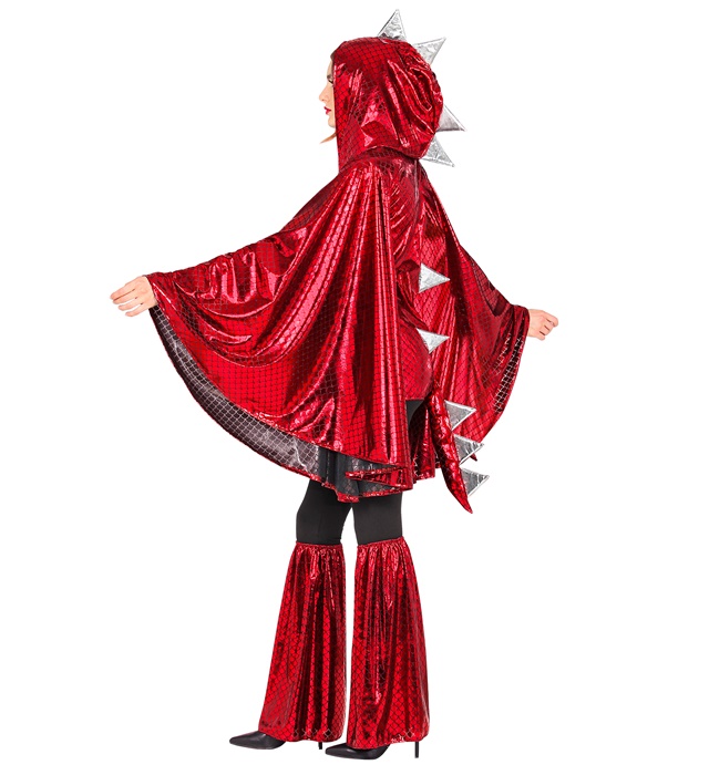Costum Dragon Femei