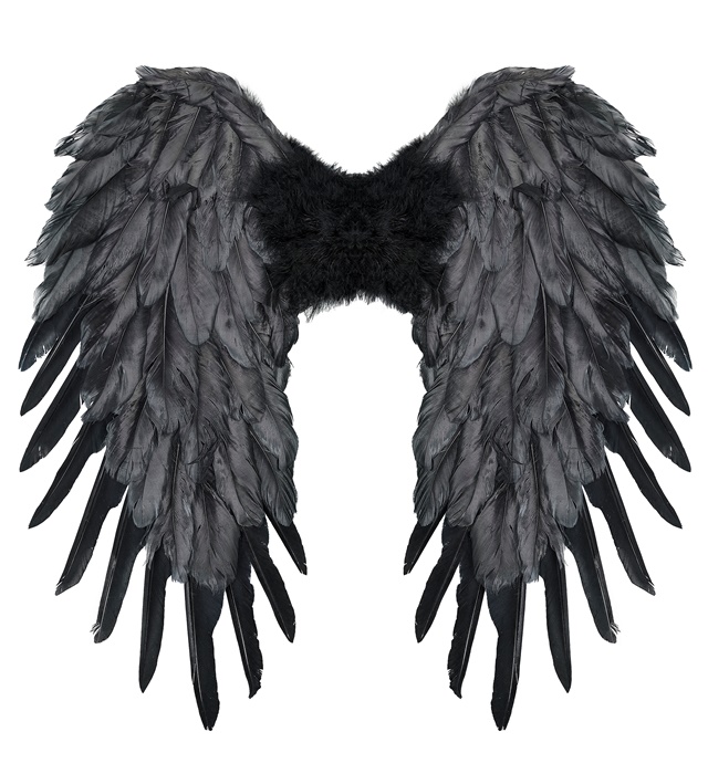 Aripi Pene Negre 50x50 cm
