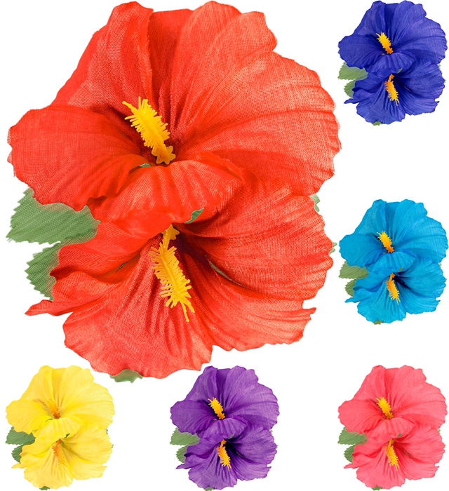 Clama Hawaii