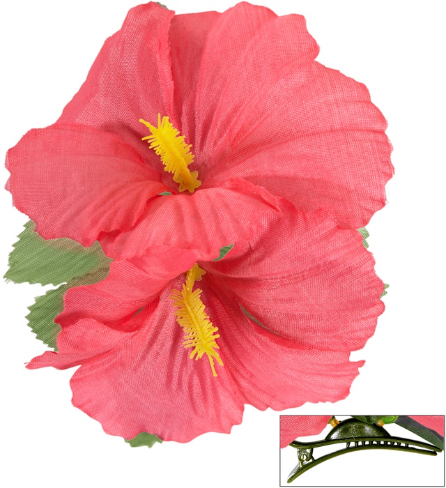 Clama Hawaii Roz