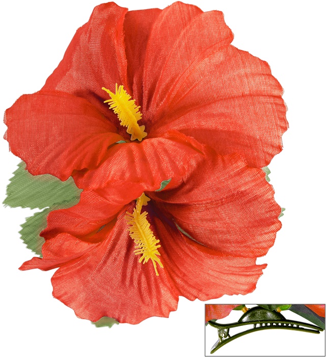 Clama Hawaii Rosie