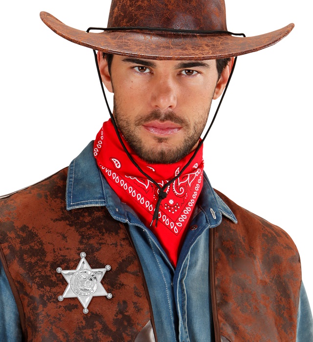 Insigna Sheriff