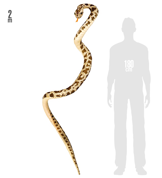 Sarpe Flexibil 200 cm