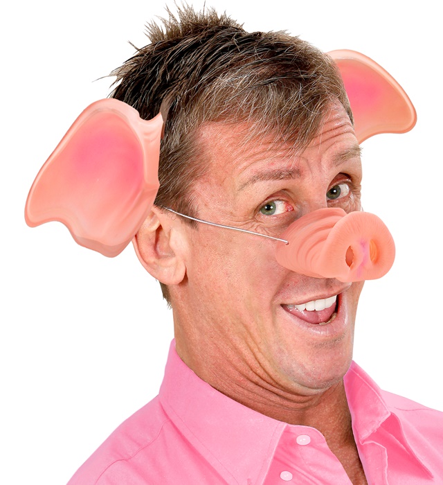 Urechi Porcusor