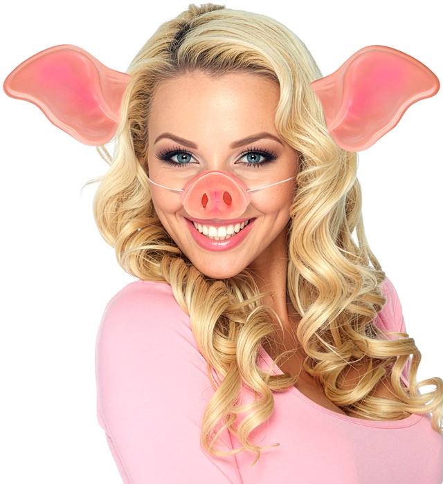Urechi Porcusor