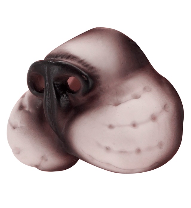 Nas Pisica