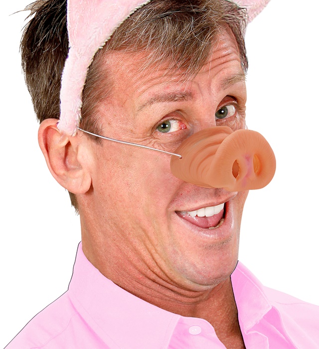 Nas Porcusor