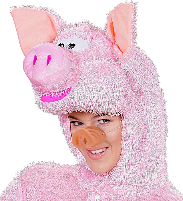 Nas Porcusor