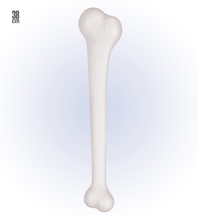 Os Gigant
