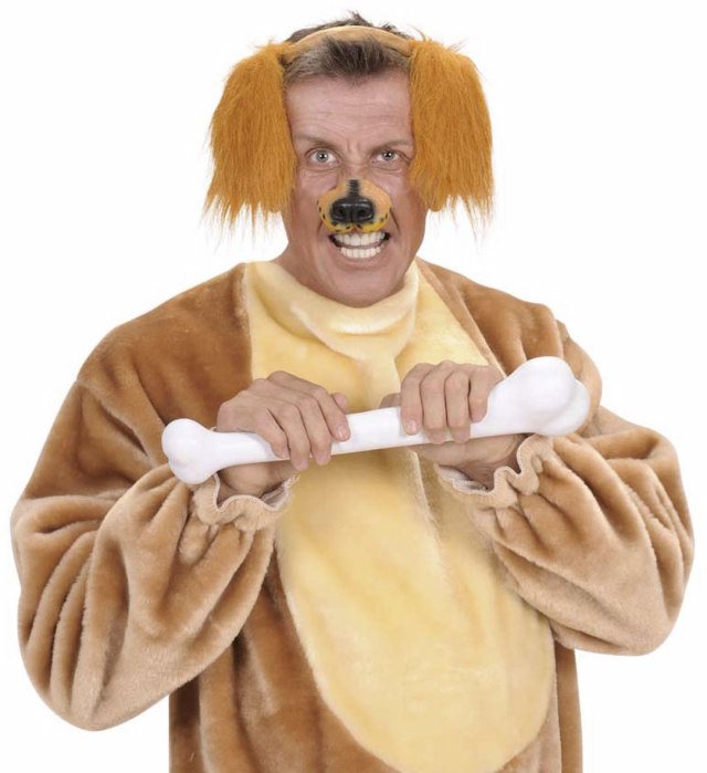 Urechi de câine maro