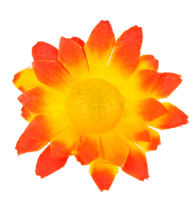Flori Decorative Portocalii 20 Buc