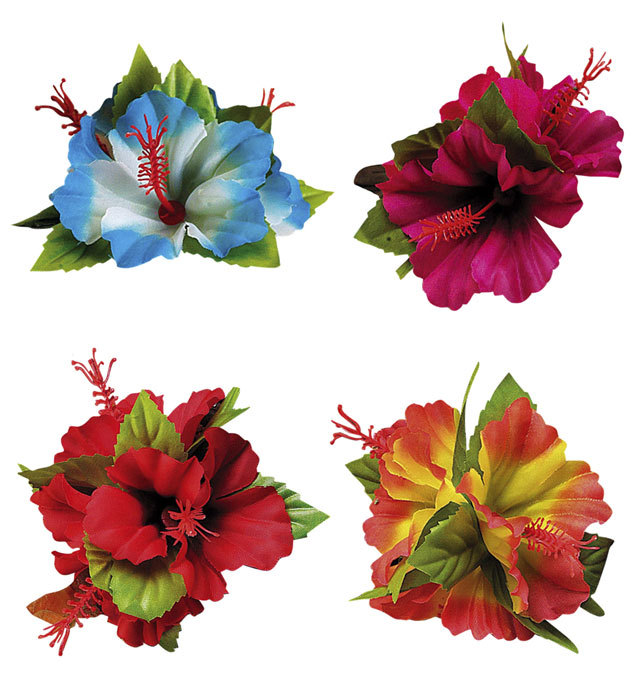 Clama Flori Hibiscus