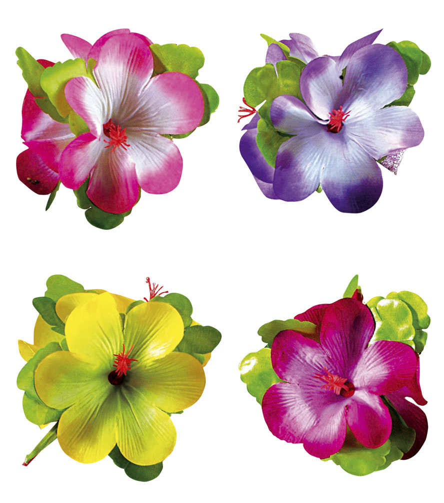 Clama Flori Hibiscus