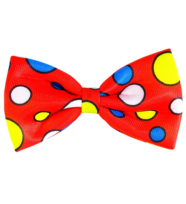 Papion Clown