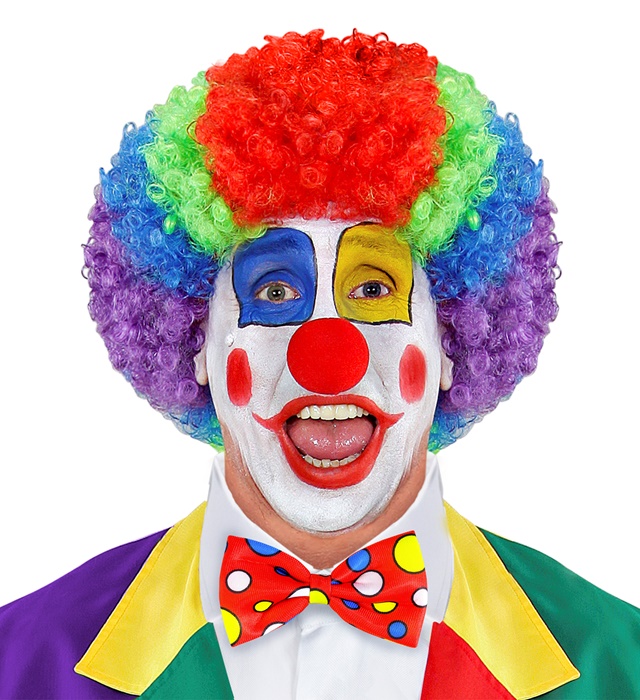 Papion Clown