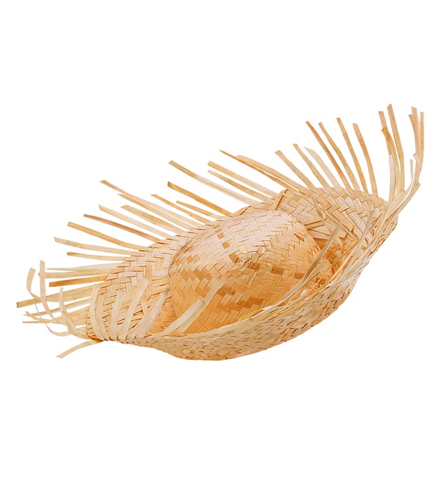 Pălărie Paie Natur
