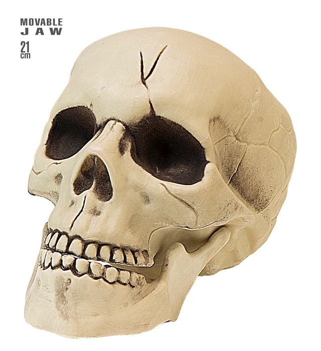 Cap Schelet 21 cm