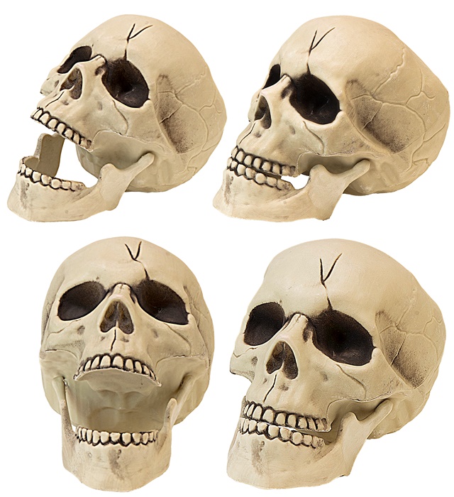 Cap Schelet 21 cm
