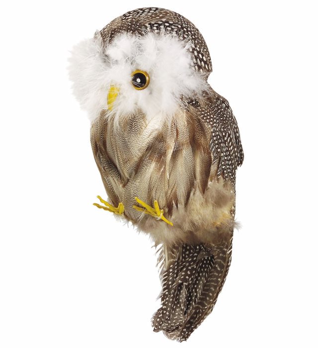 Bufnita