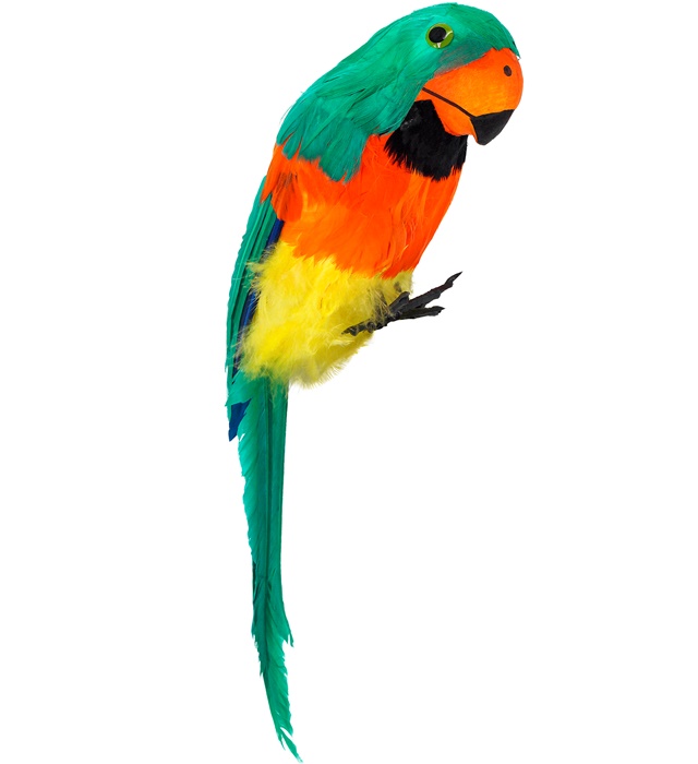 Papagal Verde