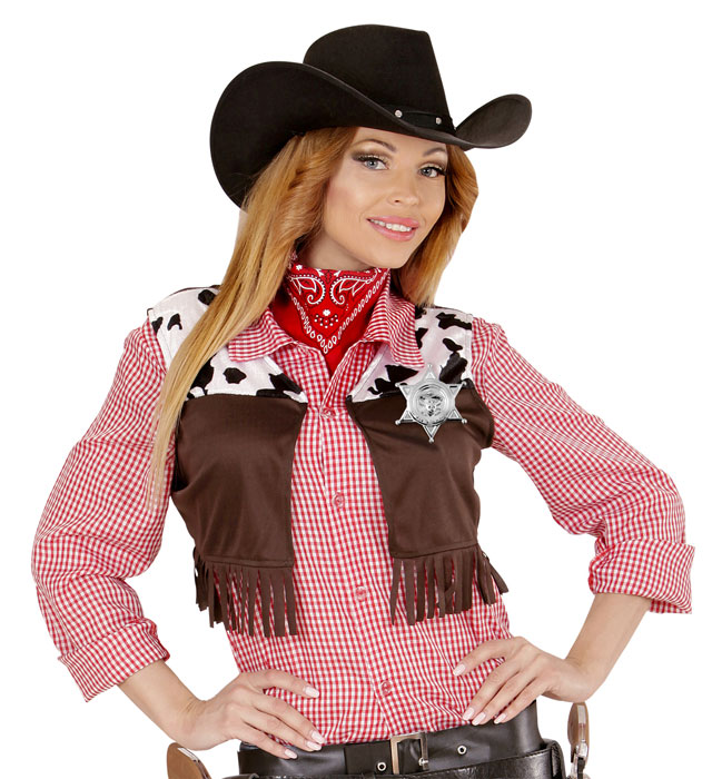 Insigna Sheriff
