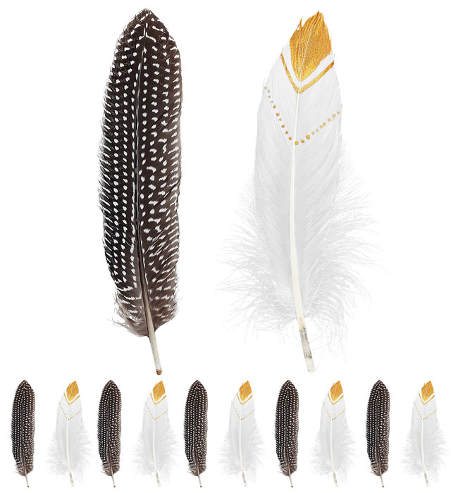 Set 12 Pene Indian