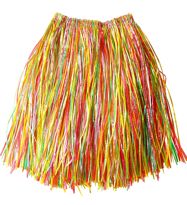 Fusta Hawaii Multicolora