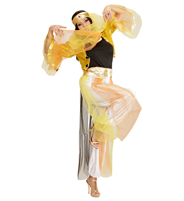 Costum Harem Dancer