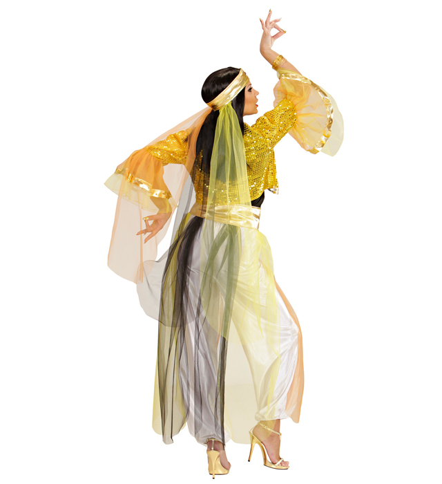 Costum Harem Dancer