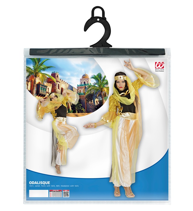 Costum Harem Dancer