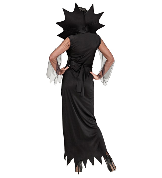 Costum Femeia Paianjen