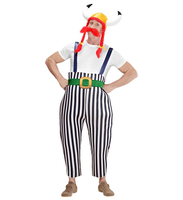 Costum Obelix