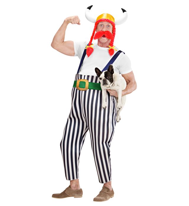 Costum Obelix