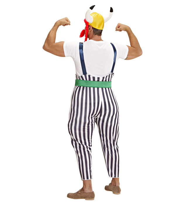 Costum Obelix