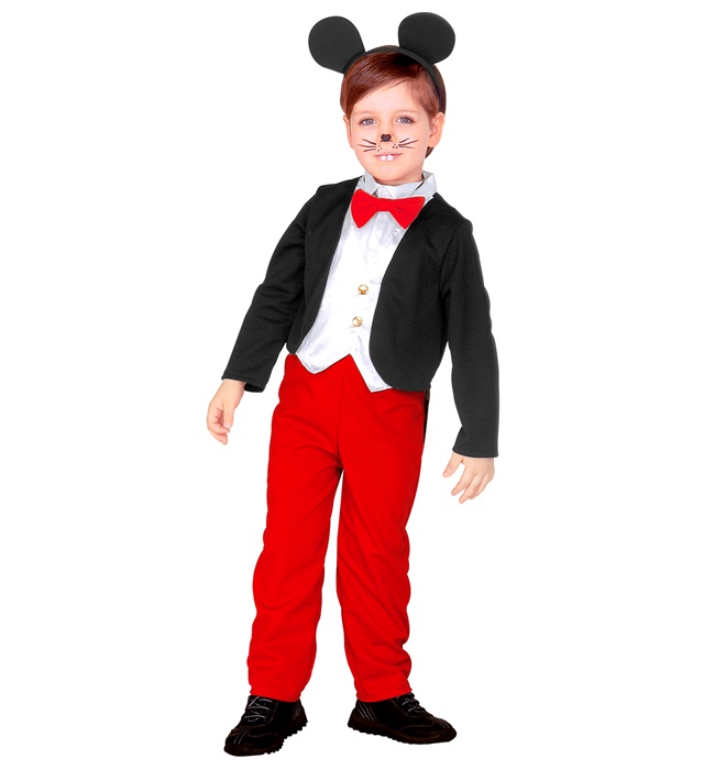 Costum Mickey