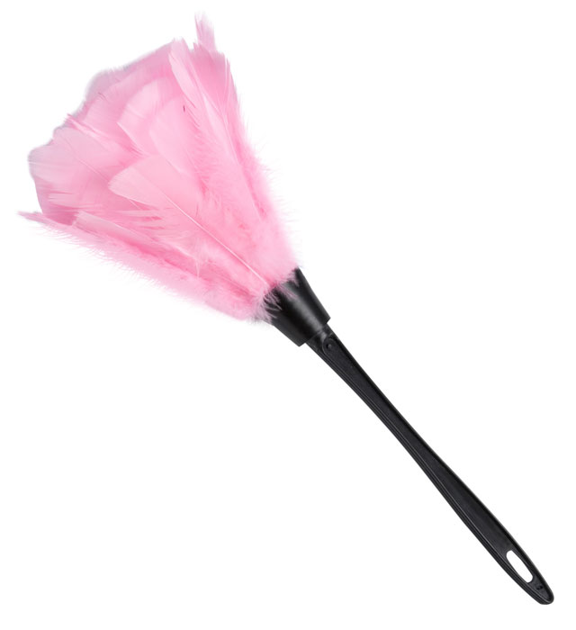 Pamatuf Roz