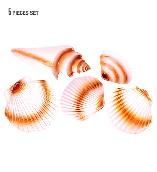 Decor Scoici 3D