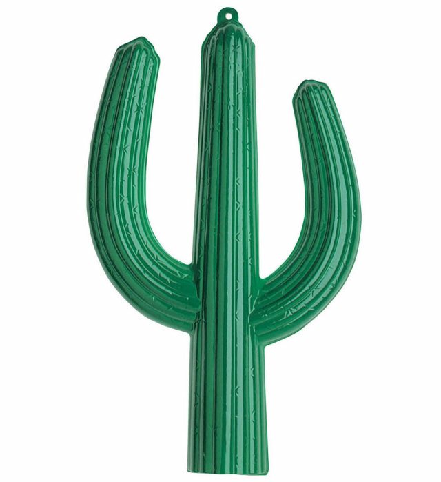 Decor Cactus