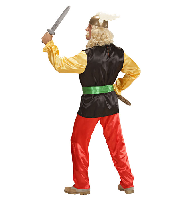 Costum Asterix